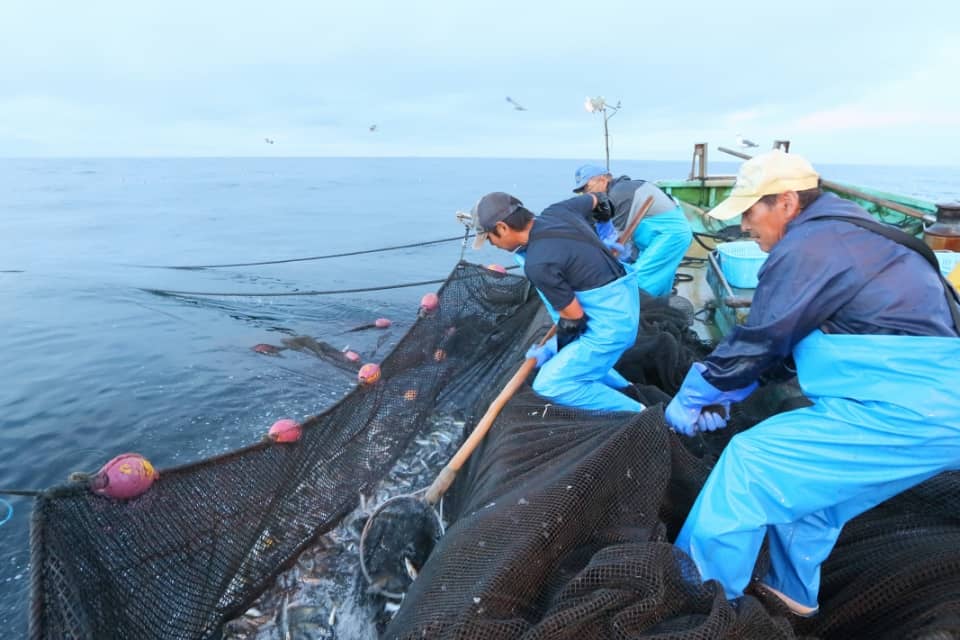 漁師たちが青いつなぎを着て、水から網を引き上げている