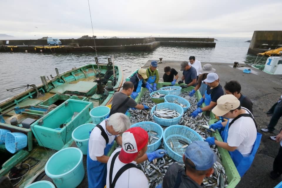 港に戻った漁師たちは岸壁で水揚げしたての魚を選別する